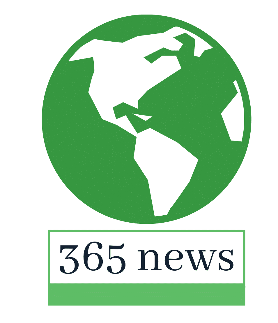 365 News